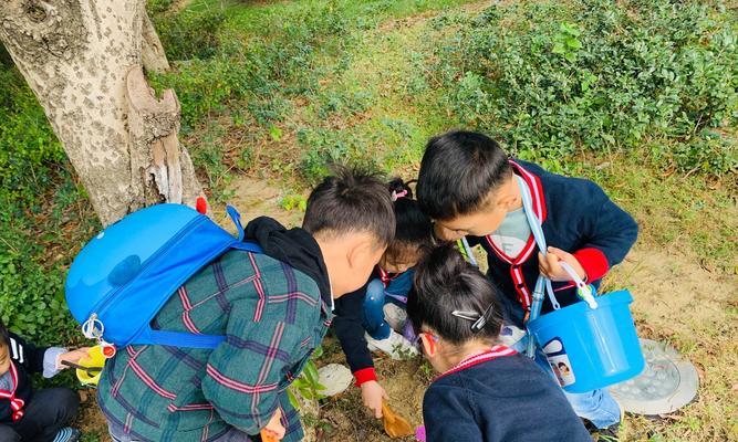 寻还民房升级攻略——打造最舒适的家园（玩转寻还民房）