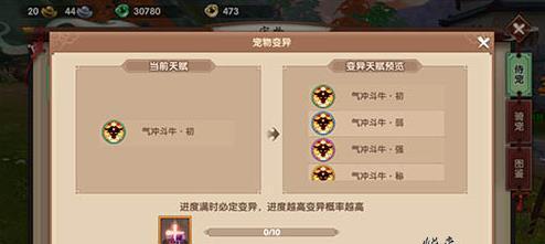 《寻仙手游》前期侍宠攻略（侍宠获取方法详解，助你轻松掌握前期游戏进度）