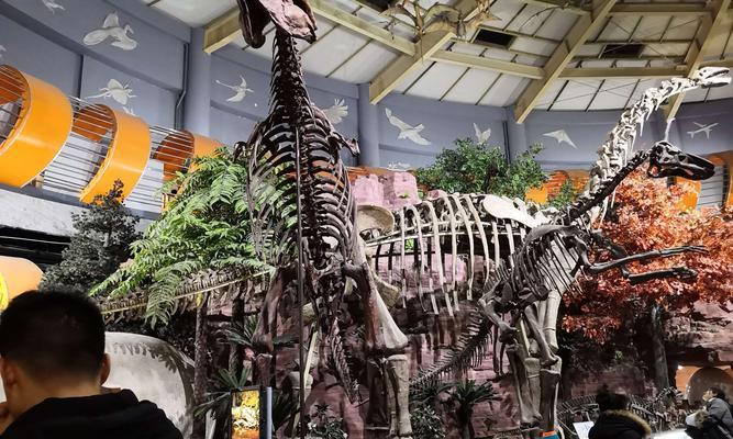 探秘化石博物馆（开启恐龙化石挖掘之旅，让你的探险之旅更加有趣！）