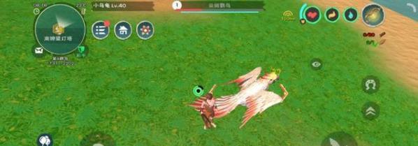 《创造与魔法情人沙发坐骑价格一览》（探索游戏中的奢华座骑世界）