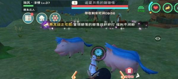 《创造与魔法情人沙发坐骑价格一览》（探索游戏中的奢华座骑世界）