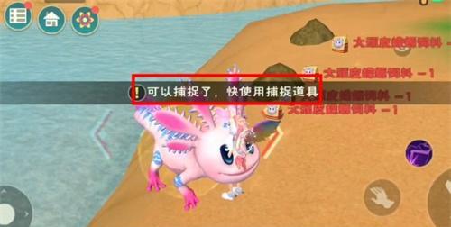 探秘魔法世界的顽皮蝾螈（寻找创造的乐趣）