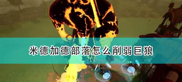《梦蝶重生狼王》打法攻略（以代号为切入口）