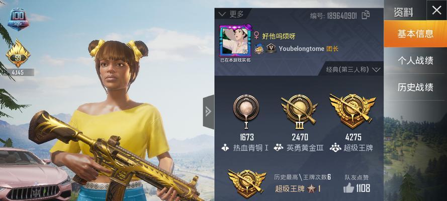 和平精英铂金段位之后是什么（游戏内玩家追寻荣耀的征程）