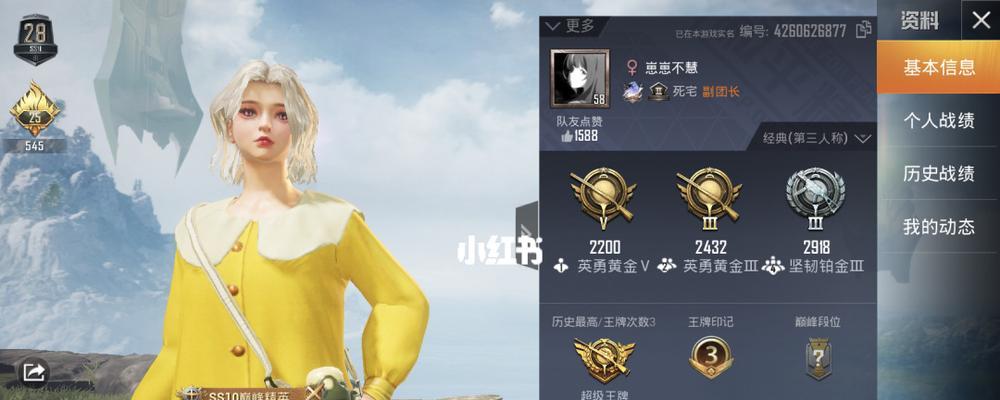 如何打造热门脸型（掌握和平营地热门脸型使用教程）