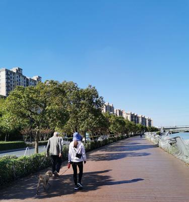 河堤战士全期玩法攻略（探索游戏乐趣）