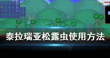 玩泰拉瑞亚必备——松露虫刷取技巧（从入门到精通）