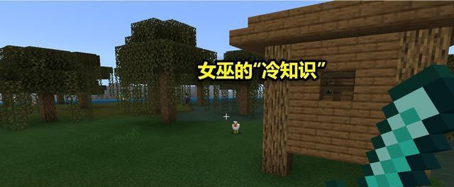 探秘《我的世界》女巫小屋（详解女巫小屋的构建与功能）