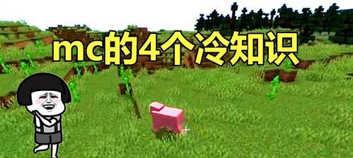 全自动种植瓜田的建造方法（通过机械化设备实现高效种植的技巧）