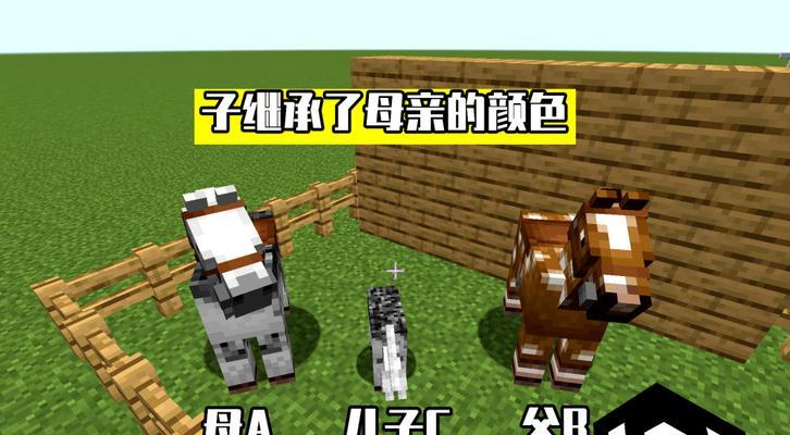 《我的世界》游戏中的马骑乘指南（学习如何驯服）