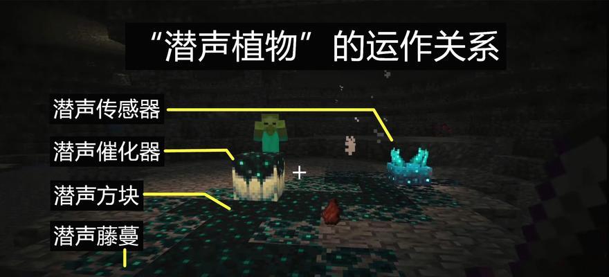 《我的世界》游戏森林群系介绍（探索自然生态与美丽景观）