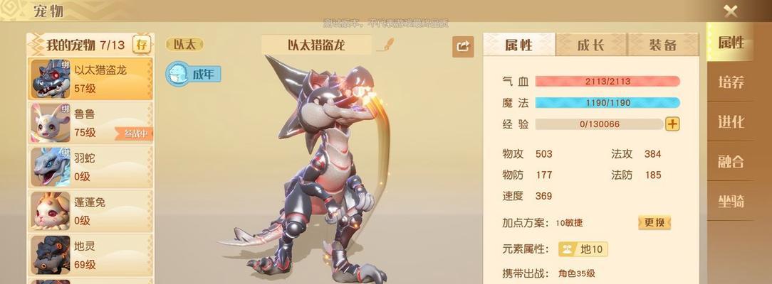 《梦想新大陆》搭配攻略——如何选择最佳伙伴（掌握技巧）