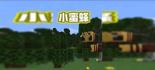 我的世界蜜蜂养殖指南（学会蜜蜂的繁殖与采集）