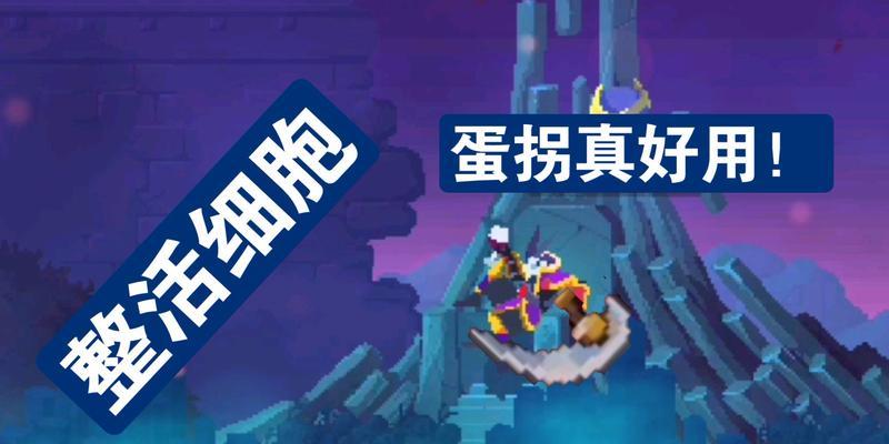 终极攻略（萌新打法指南）