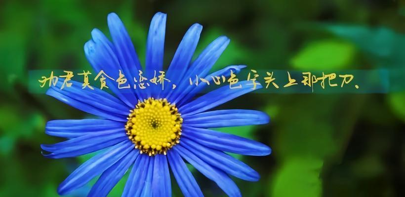 如何下定决心戒掉网络游戏？