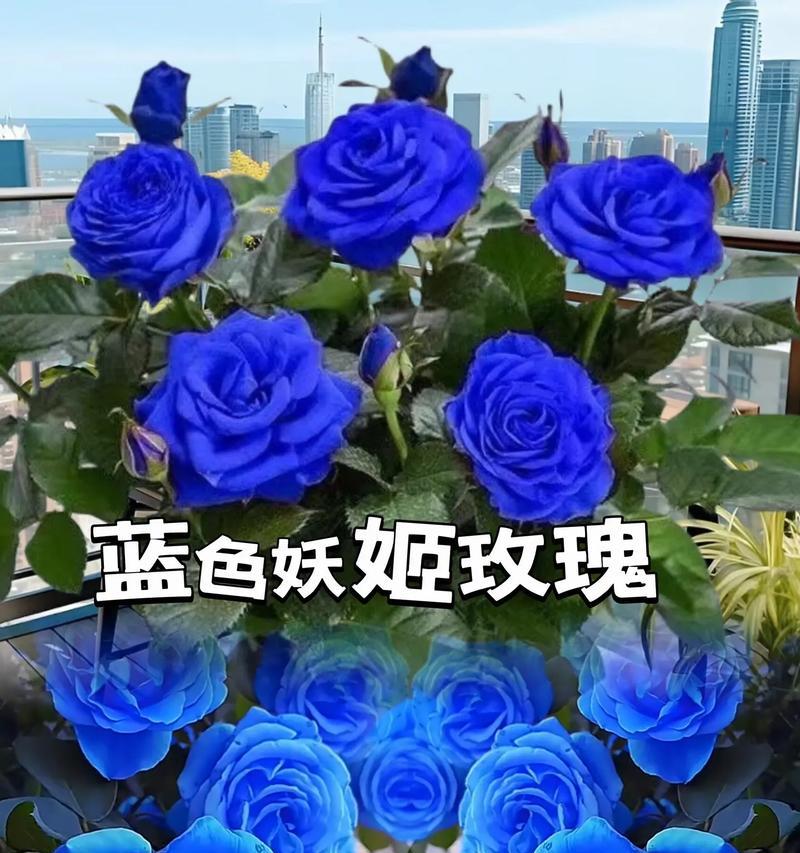 抖音小游戏蓝色妖姬解锁方法是什么？需要满足哪些条件？