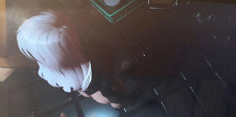《Haydee2》中如何获取枪支？枪支获得方法全面解析？
