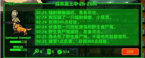 《辐射避难所OL》配件如何选购？养生蹦迪必备配件有哪些特点？