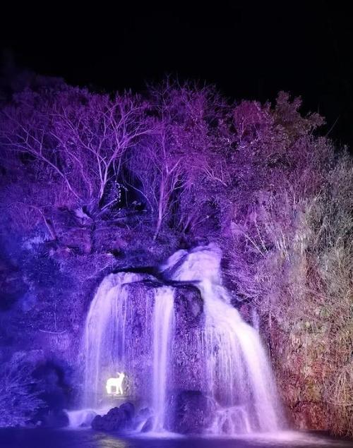 免费魔幻森林游戏手机版有破解版吗？哪里可以下载？