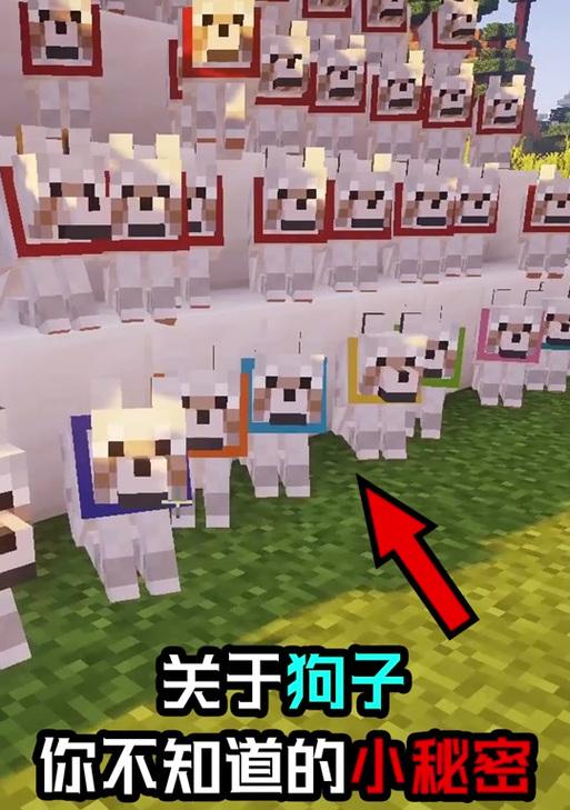 我的世界狗子染色方法是什么？染色效果能持续多久？