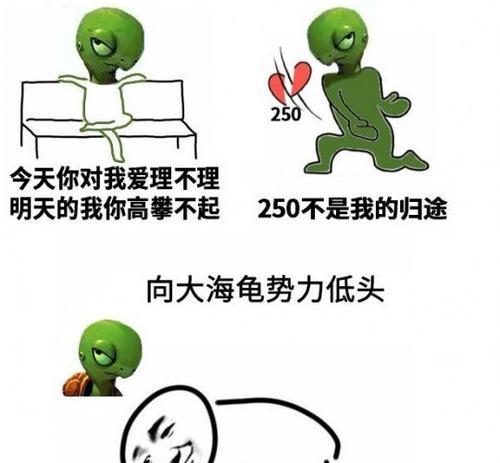梦幻西游海龟战斗策略是什么？
