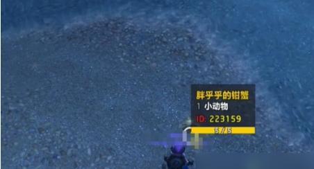 魔兽世界中鬼蟹的捕捉方法是什么？捕捉鬼蟹需要哪些条件？