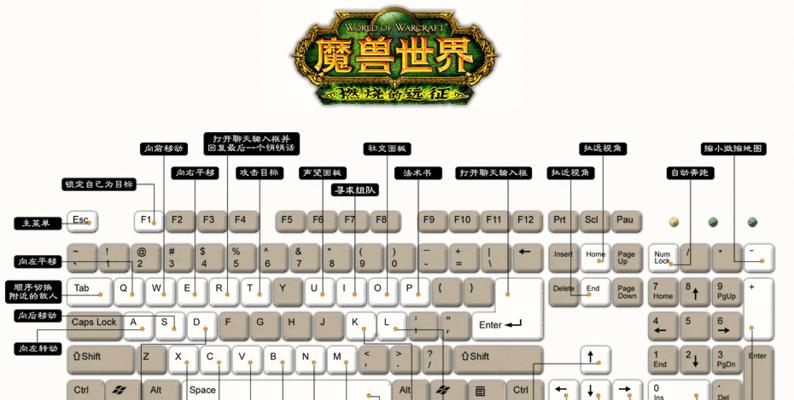 魔兽世界卡主住键位设置方法是什么？