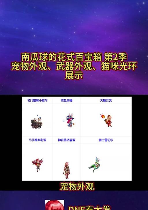 dnf黑猫宠物消失的原因是什么？如何找回？