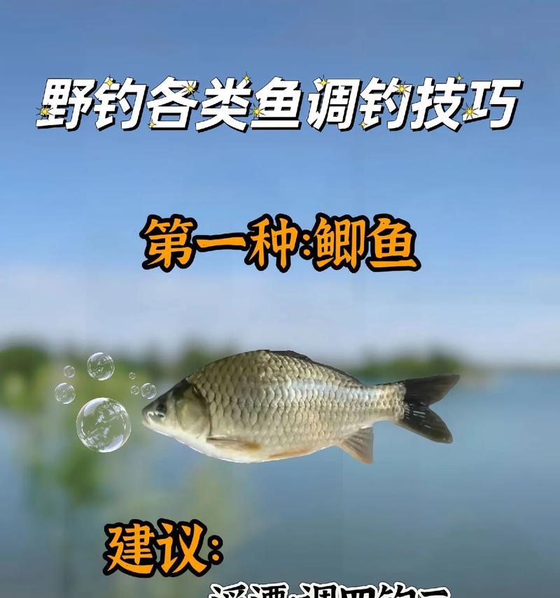 地下城钓的鱼怎么用？有哪些使用技巧？
