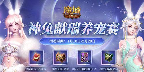 魔域兔年兽骑士最适合搭配哪种宠物？