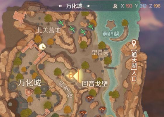 完美世界宠物培育的步骤是什么？